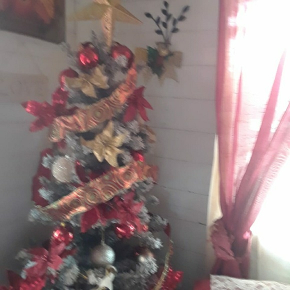 Meet your Posher, Stephaney - Picture 1 of 1